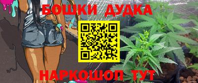 a pvp Гагарин